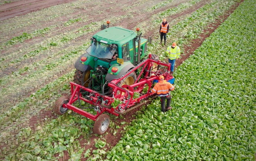 レタスの収穫を自動化するロボットソリューション: レタス収穫を手伝うロボット